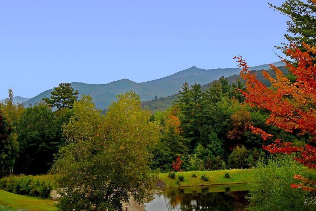손튼 White Mountain Retreat 빌라 외부 사진